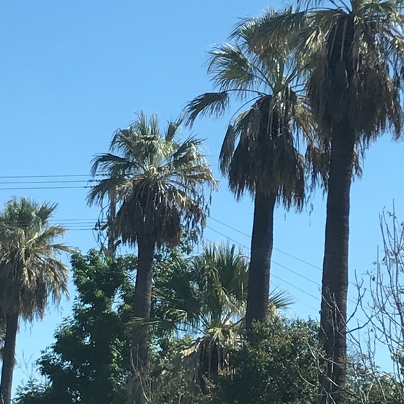 Meet your Posher, Jason - Picture 1 of 1